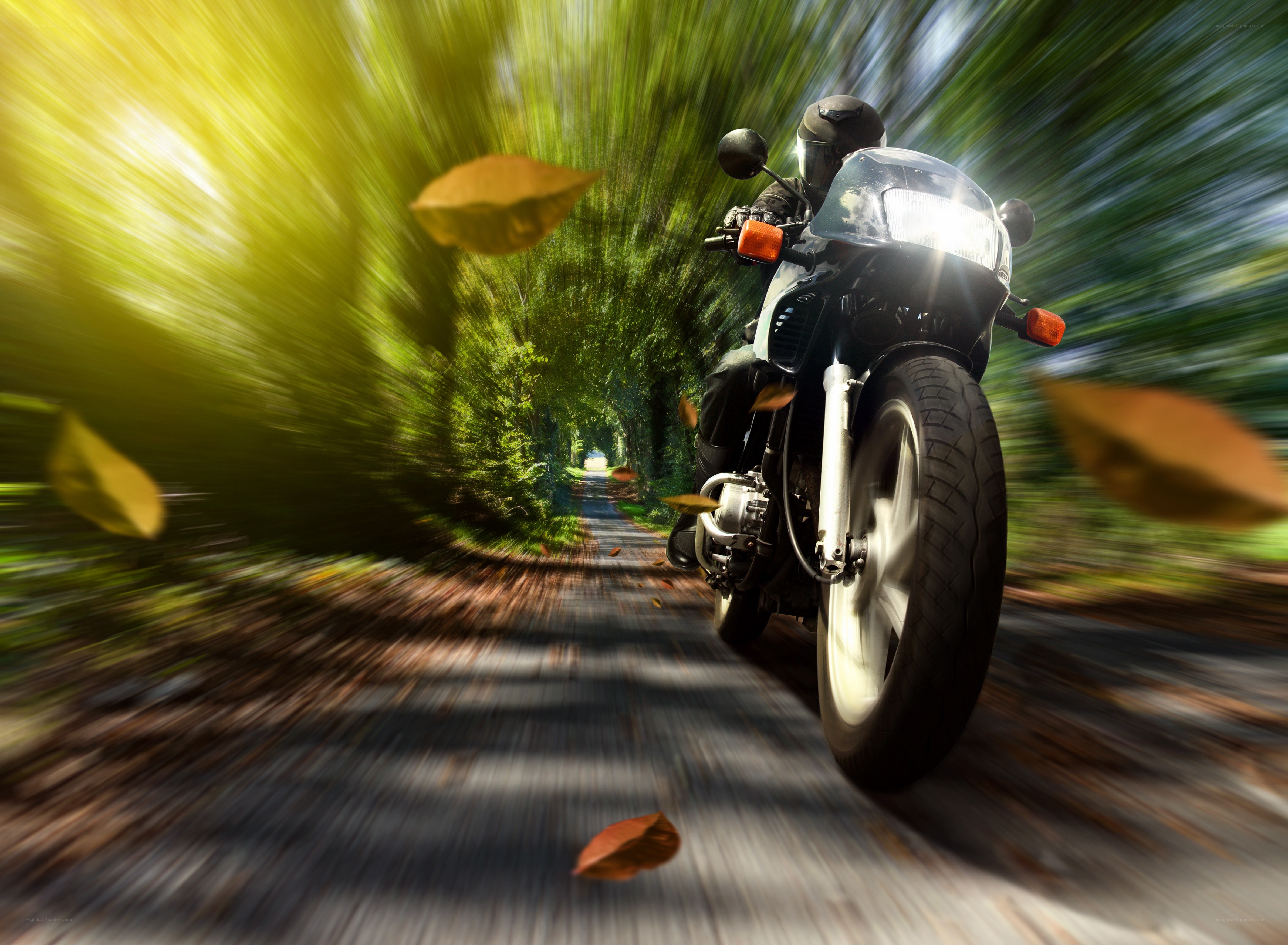Motorcycle ride through autumn forest