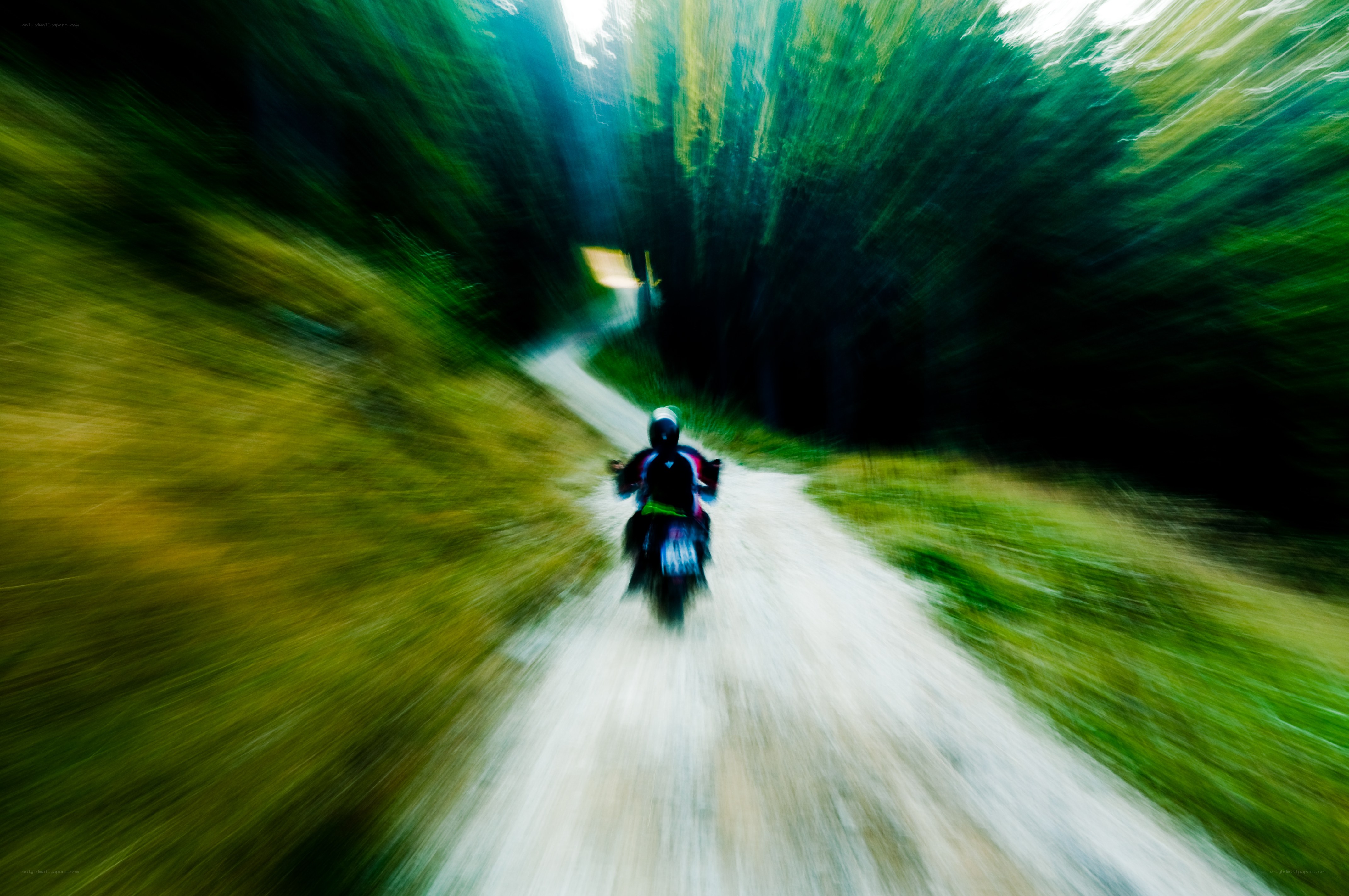 Motorcycle ride through forest