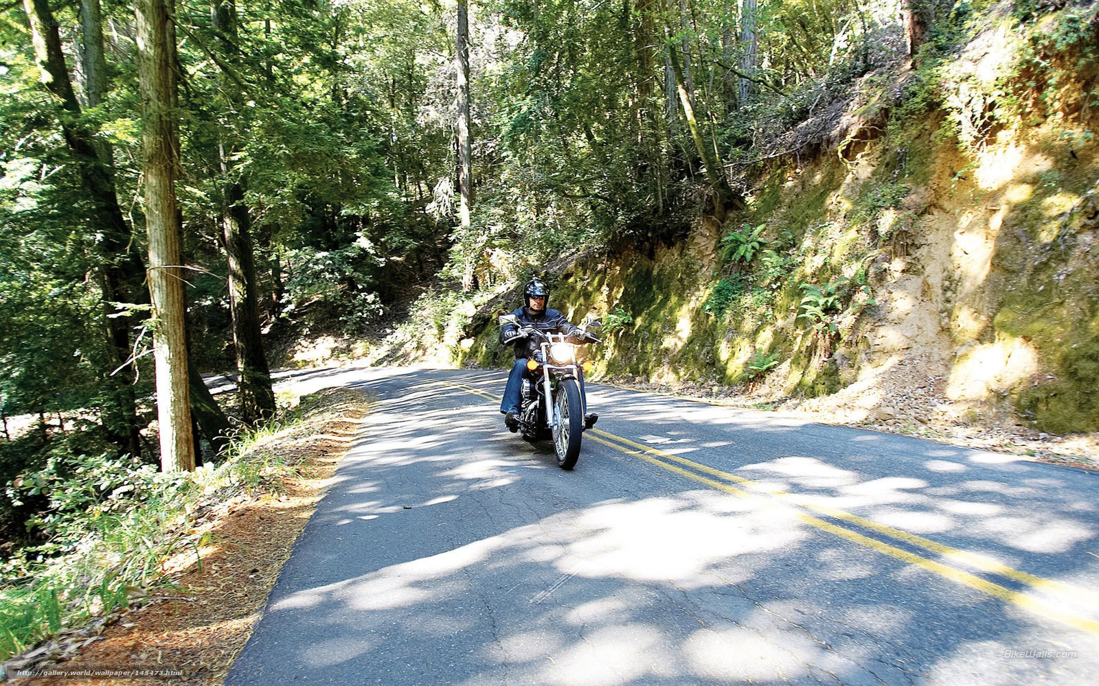 Motorcycle ride through forest