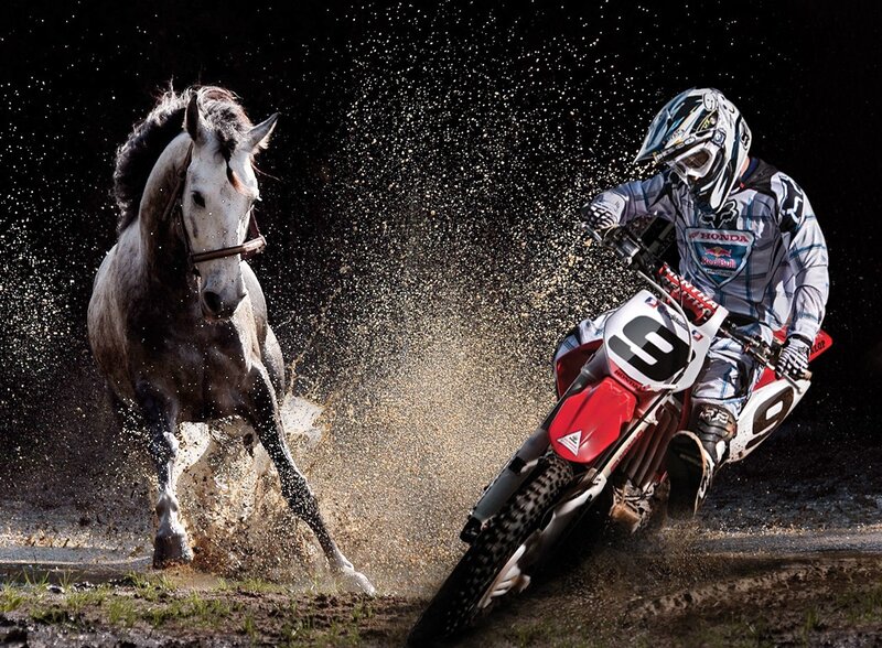 Motorcycle rider and horse in mud