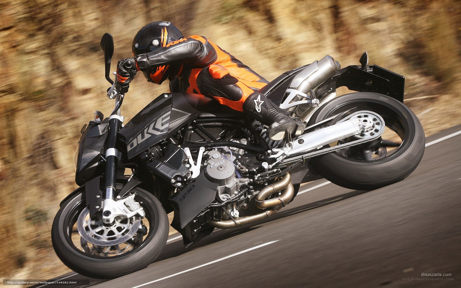 motorcycle rider in action