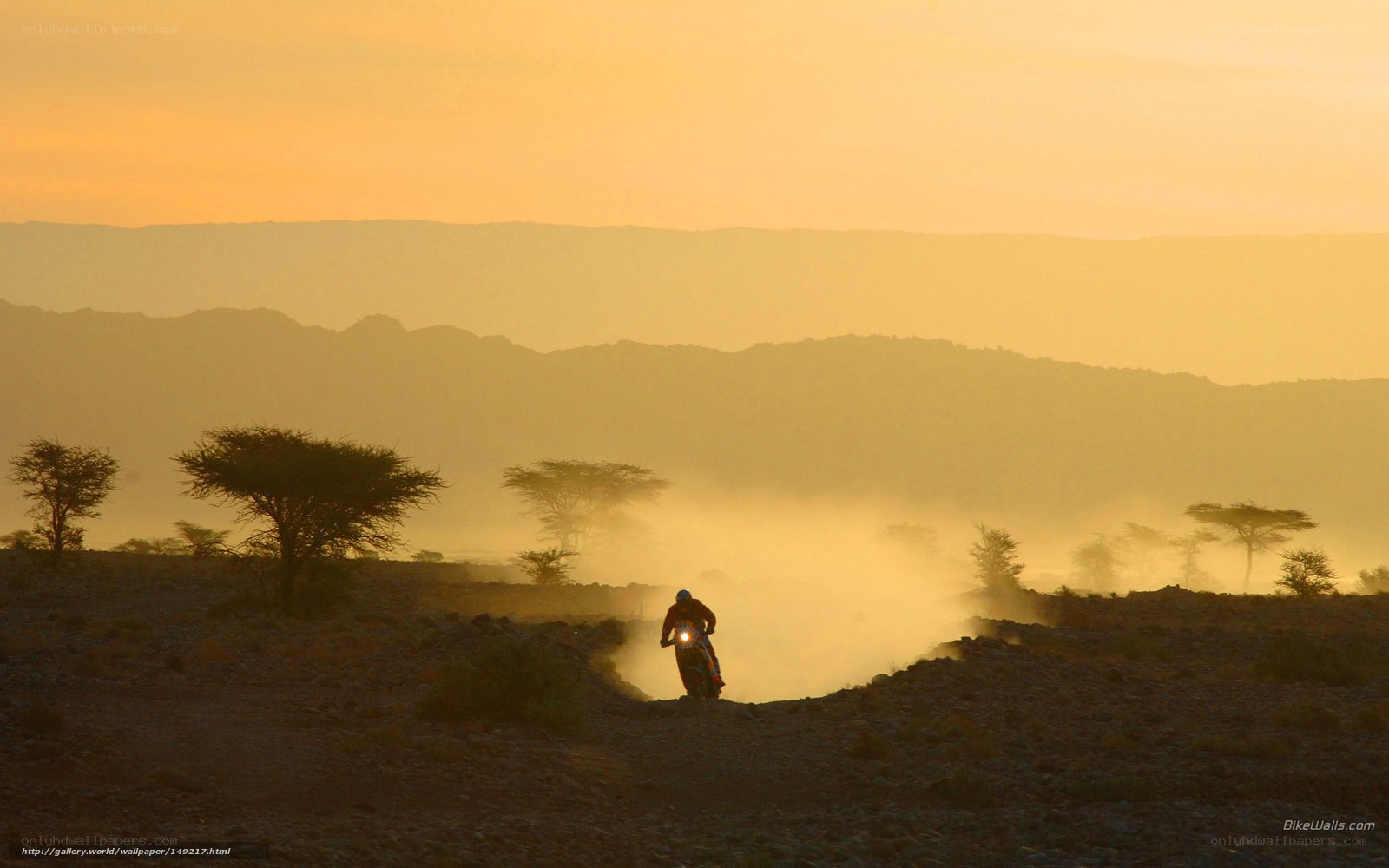 Motorcycle rider in desert at sunset