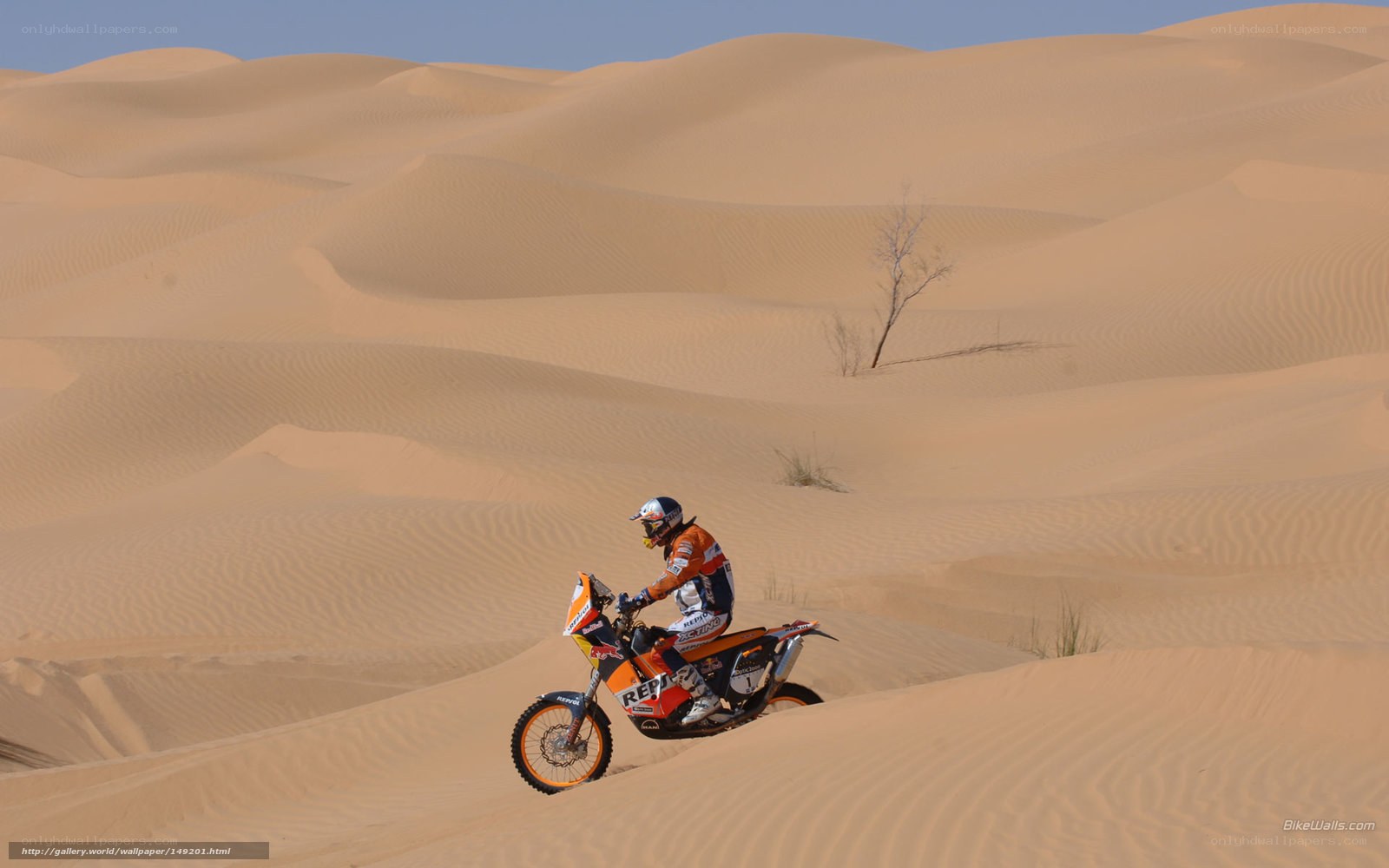 Motorcycle rider in desert dunes