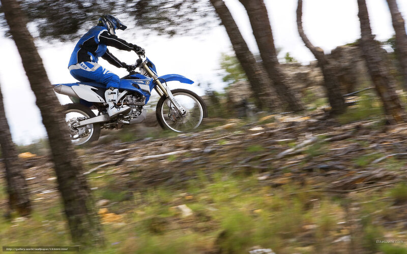 Motorcycle rider in forest