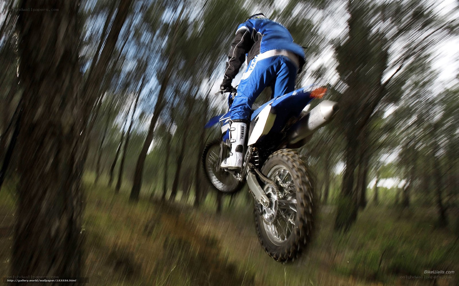 Motorcycle rider in forest