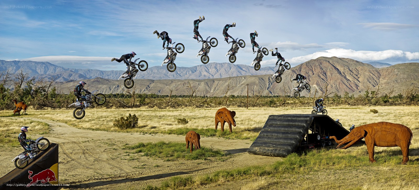 Motorcycle rider in mid-air stunts