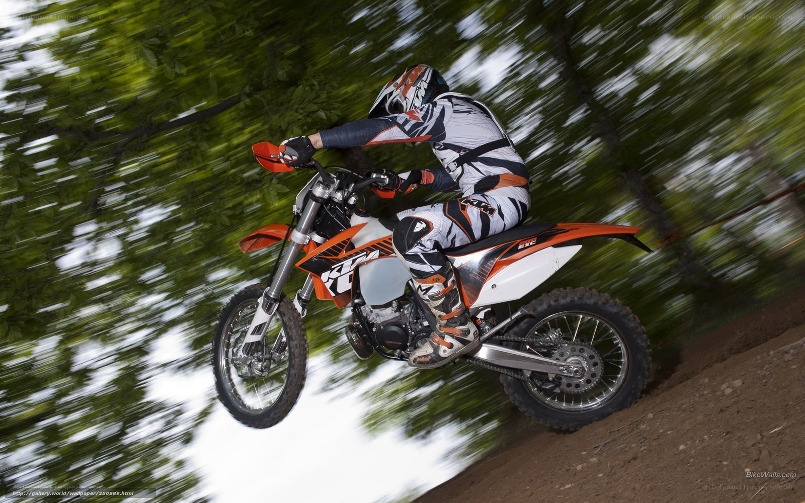 motorcycle rider in mid-air