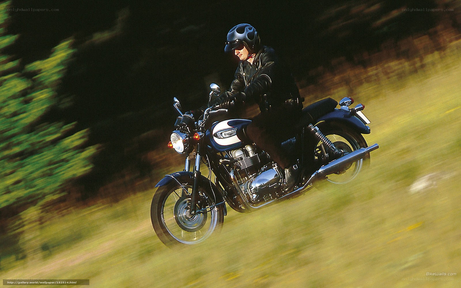 Motorcycle rider in motion