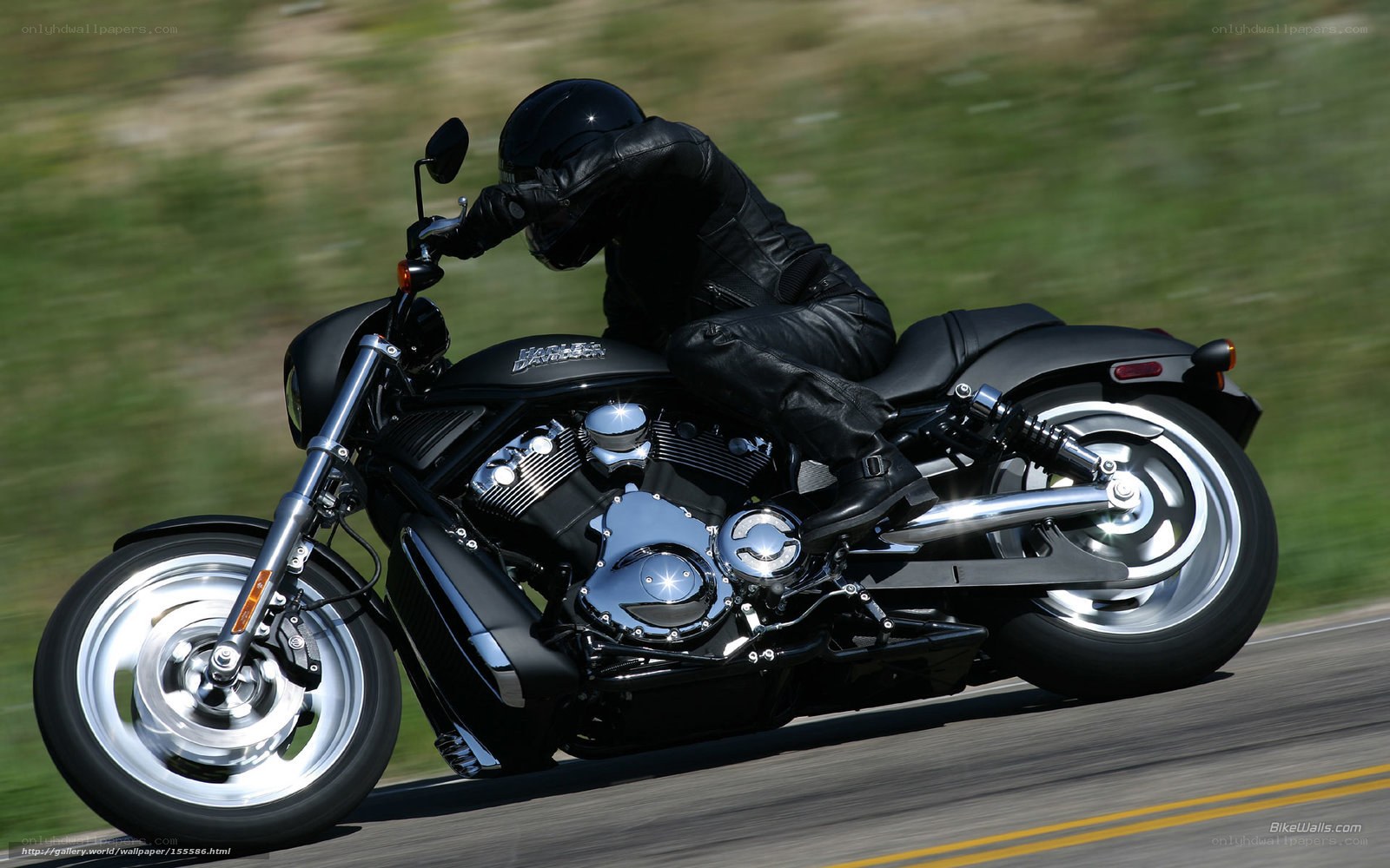 motorcycle rider in motion