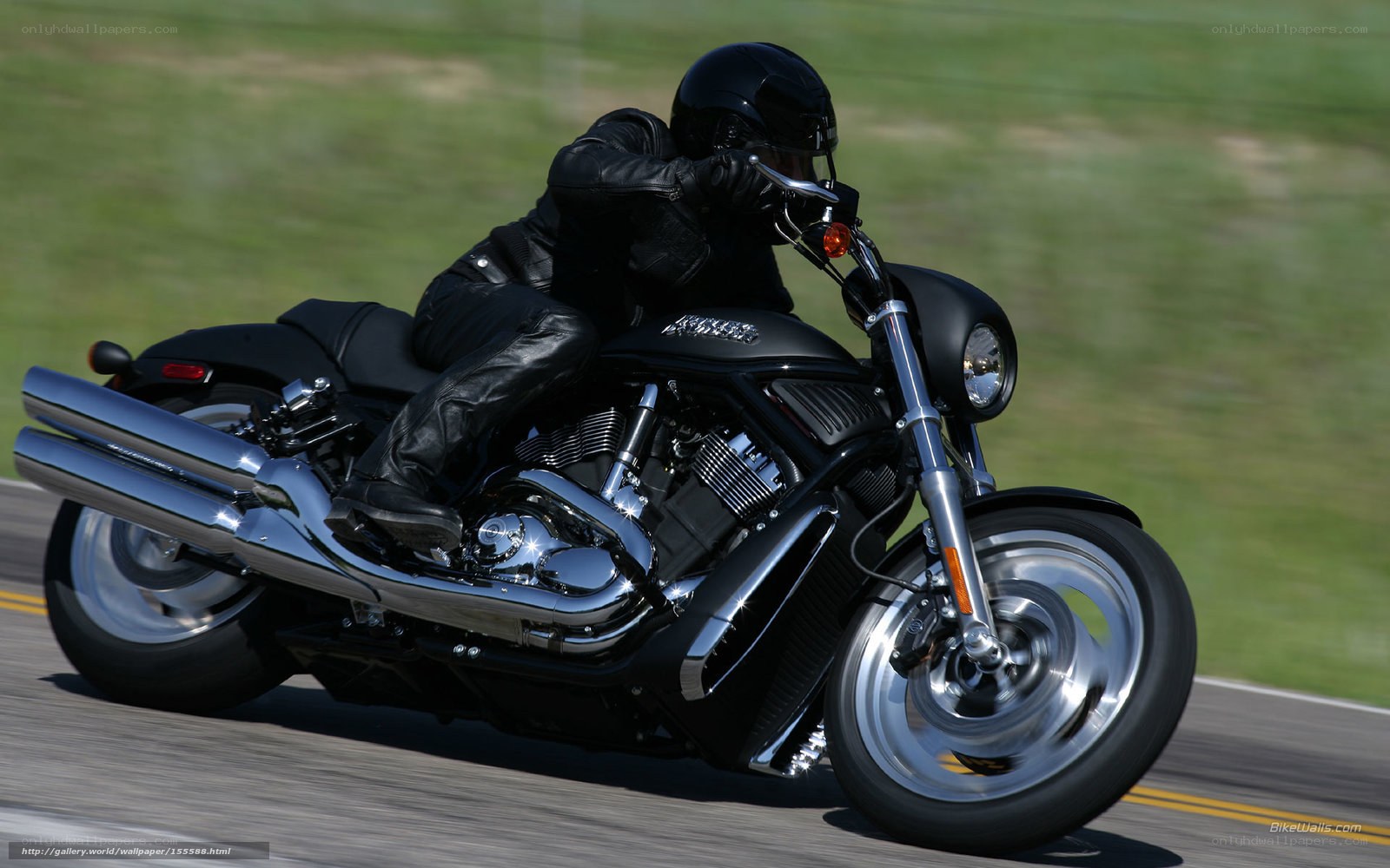 motorcycle rider in motion