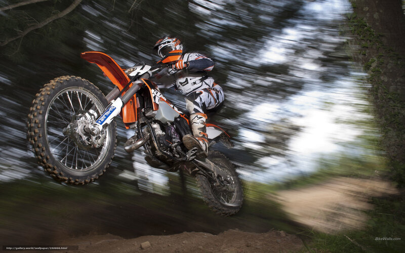 Motorcycle Rider in Motion — Orange, Dynamic, Afternoon
