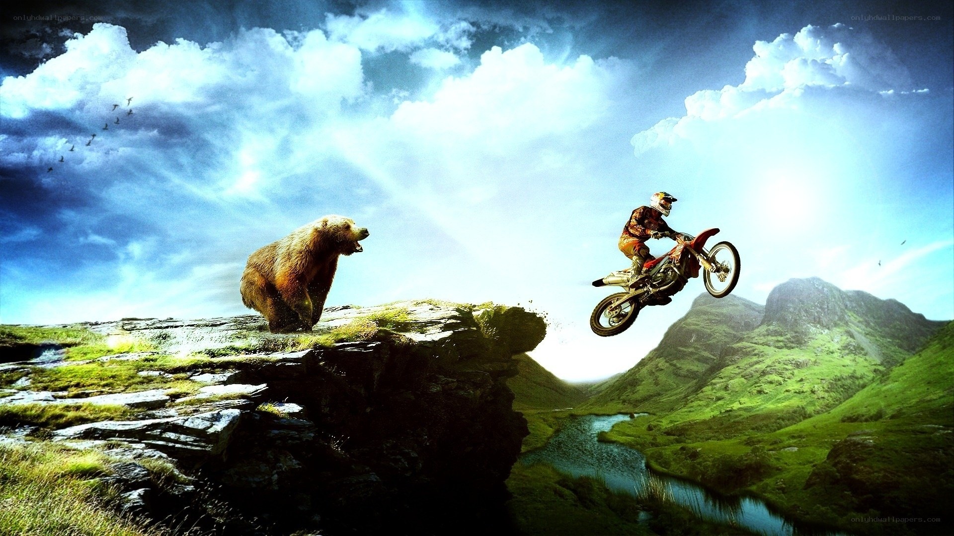 Motorcycle rider jumps over bear
