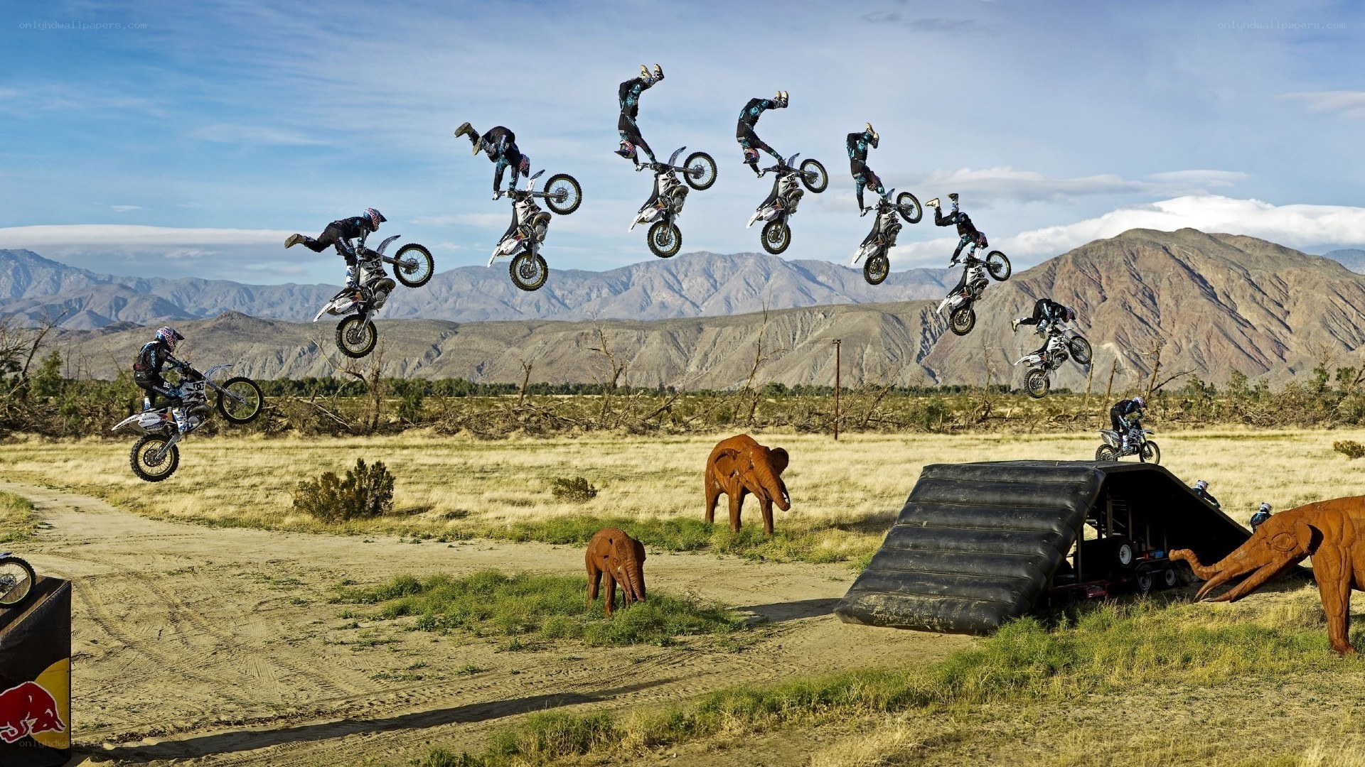 Motorcycle rider mid-air stunts
