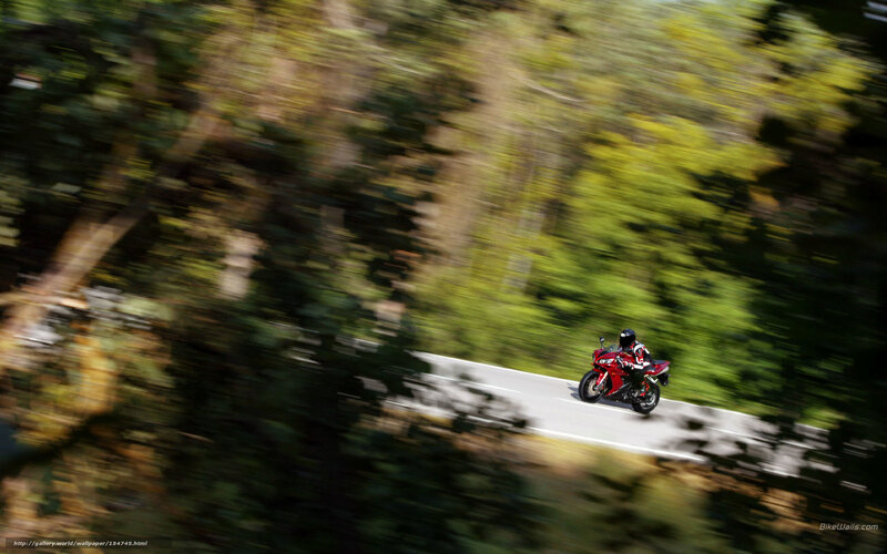 Motorcycle rider on a forest road