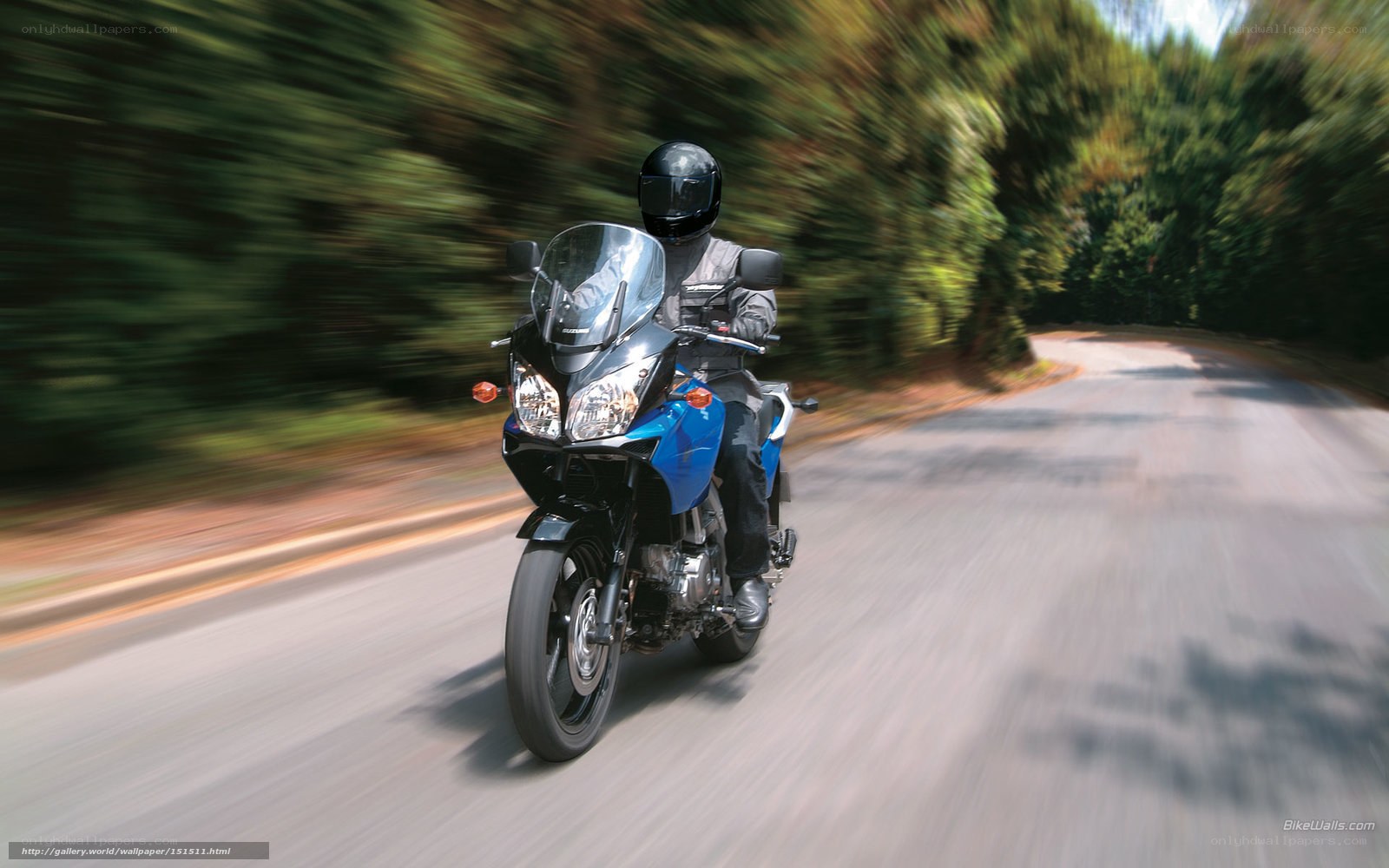 motorcycle rider on a forest road