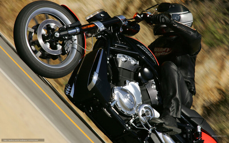 motorcycle rider on a road