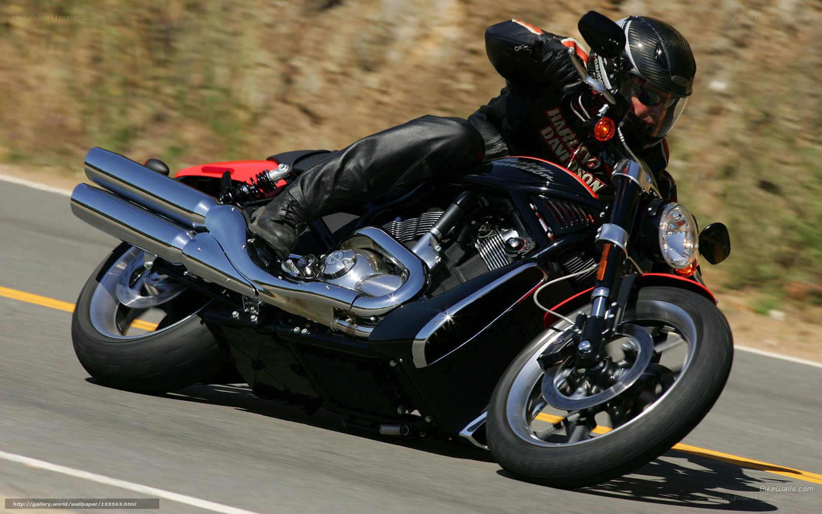 motorcycle rider on a road