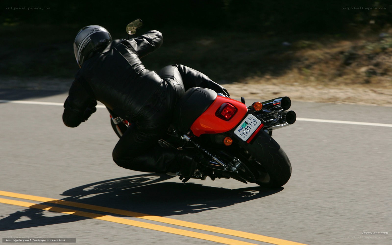 motorcycle rider on a road