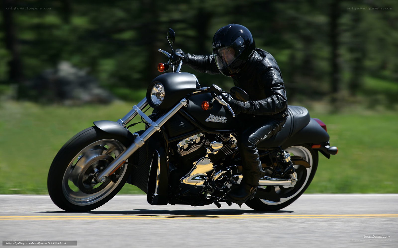Motorcycle rider on a road