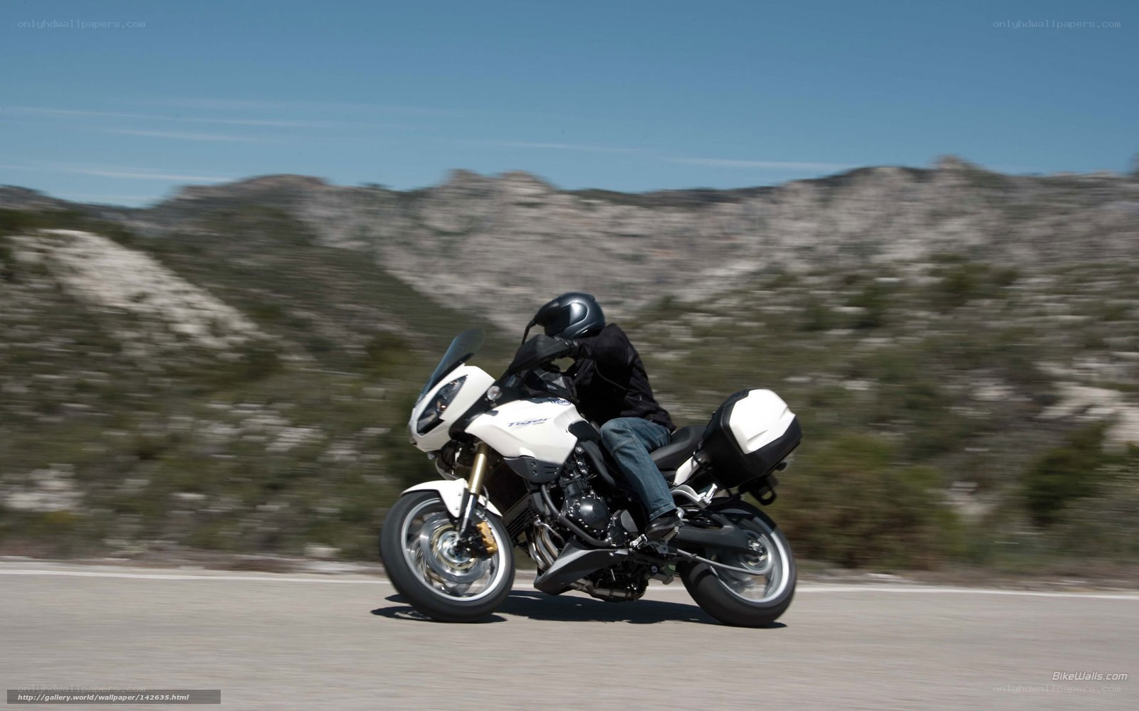 motorcycle rider on a road