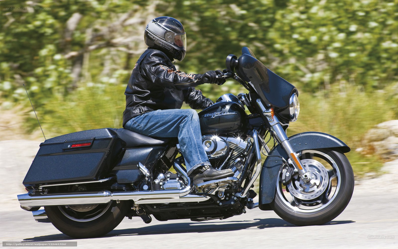 motorcycle rider on a scenic road