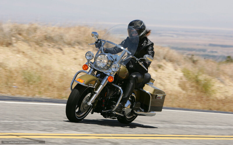 motorcycle rider on a scenic road