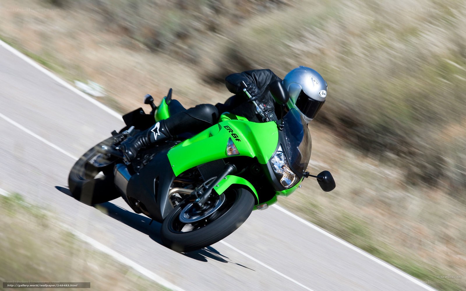 motorcycle rider on a winding road