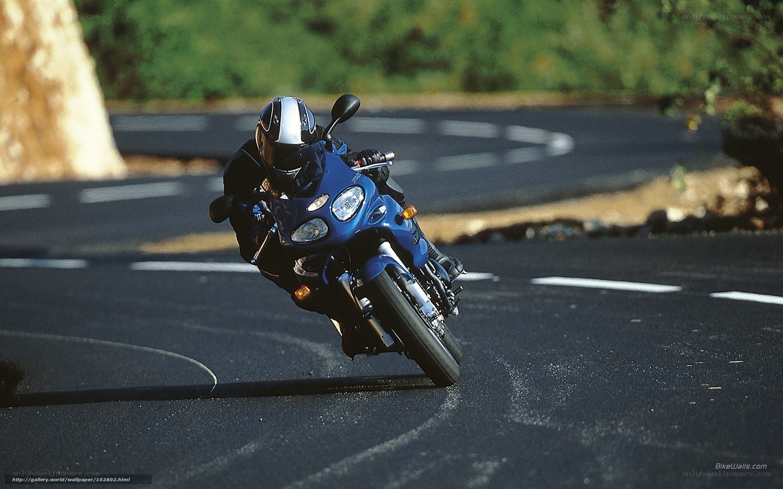 motorcycle rider on a winding road