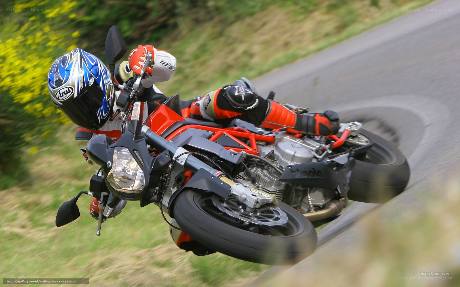 motorcycle rider on a winding road