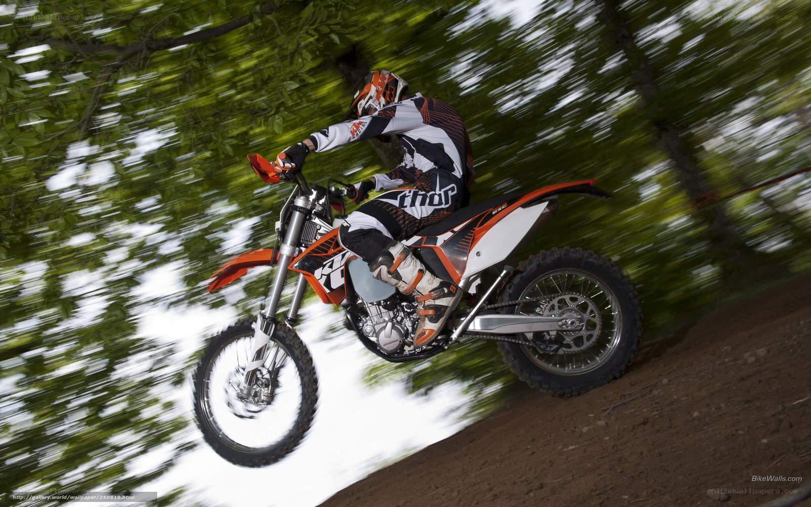 Motorcycle rider on dirt bike