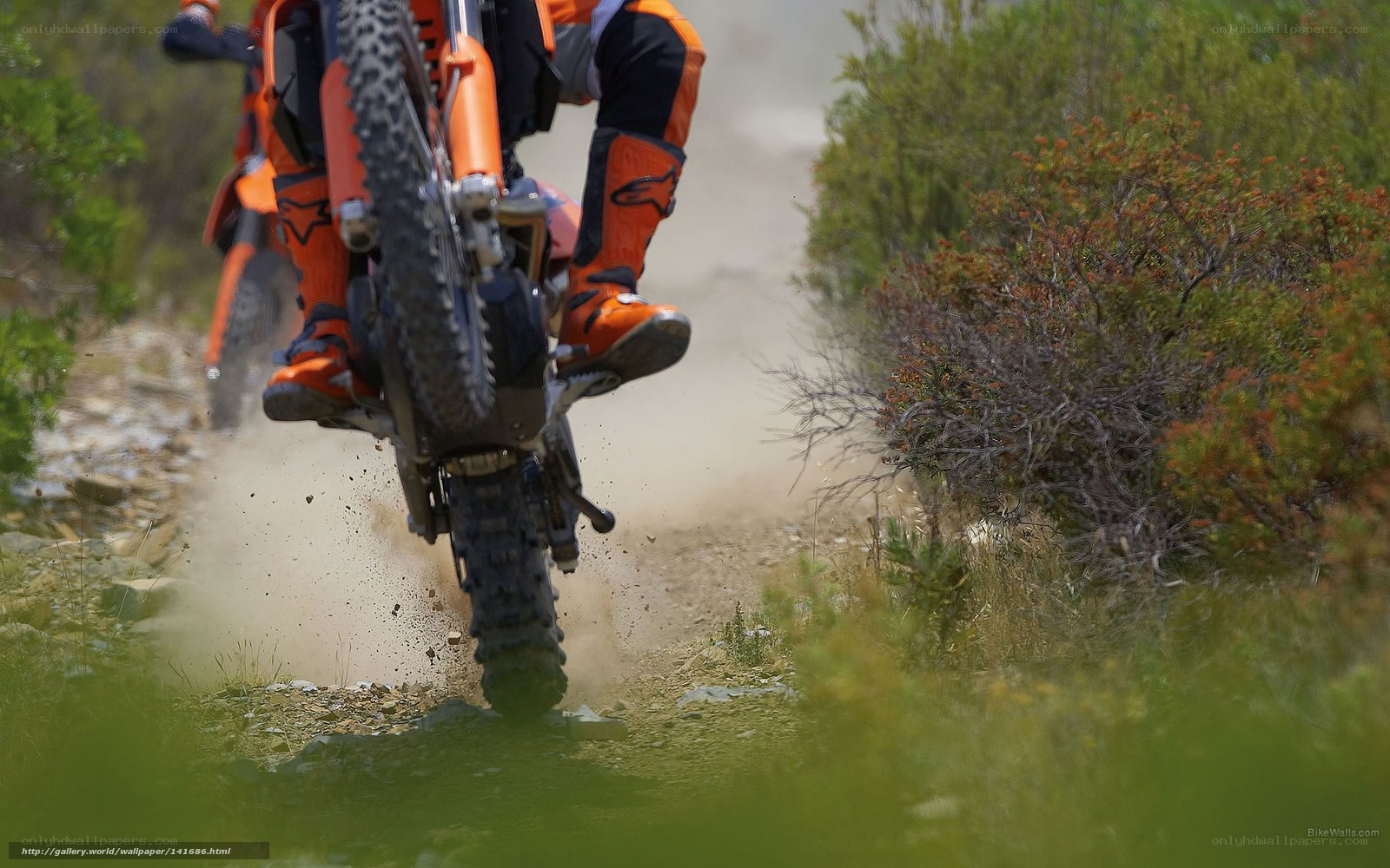 Motorcycle rider on dirt trail