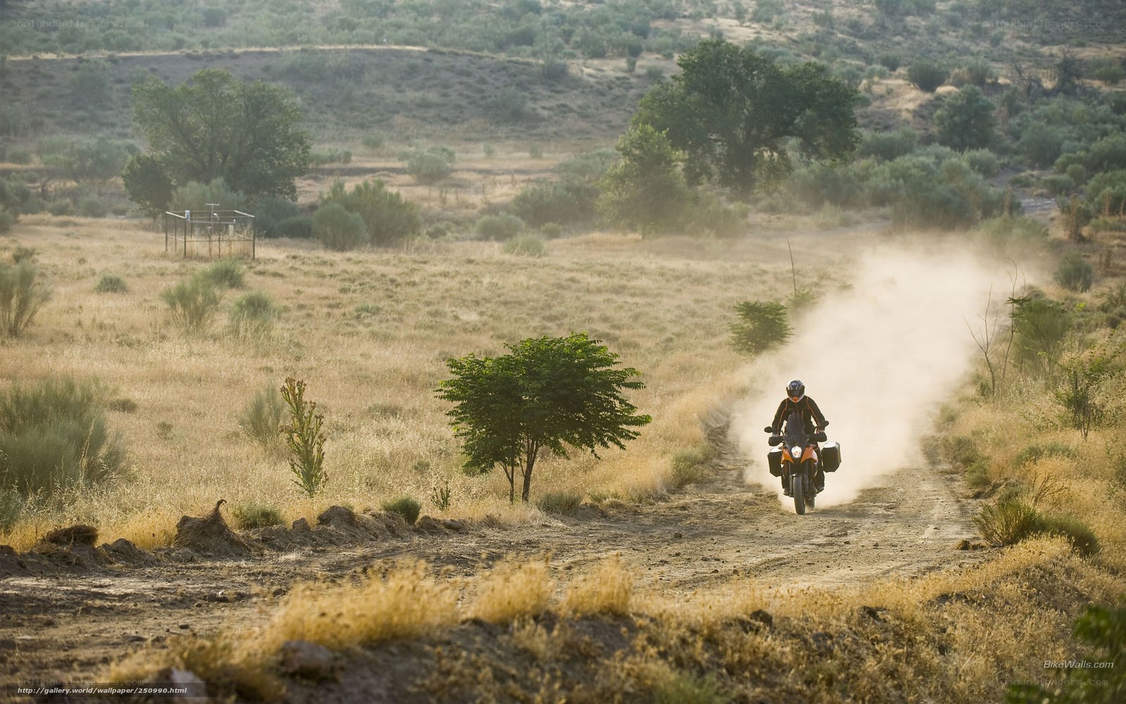 Motorcycle rider on dusty trail