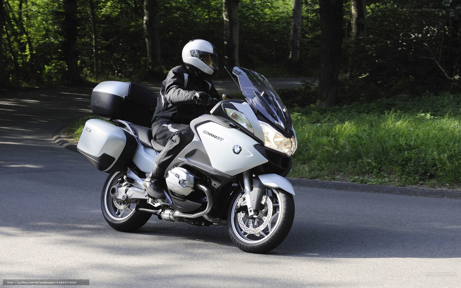 motorcycle rider on forest road