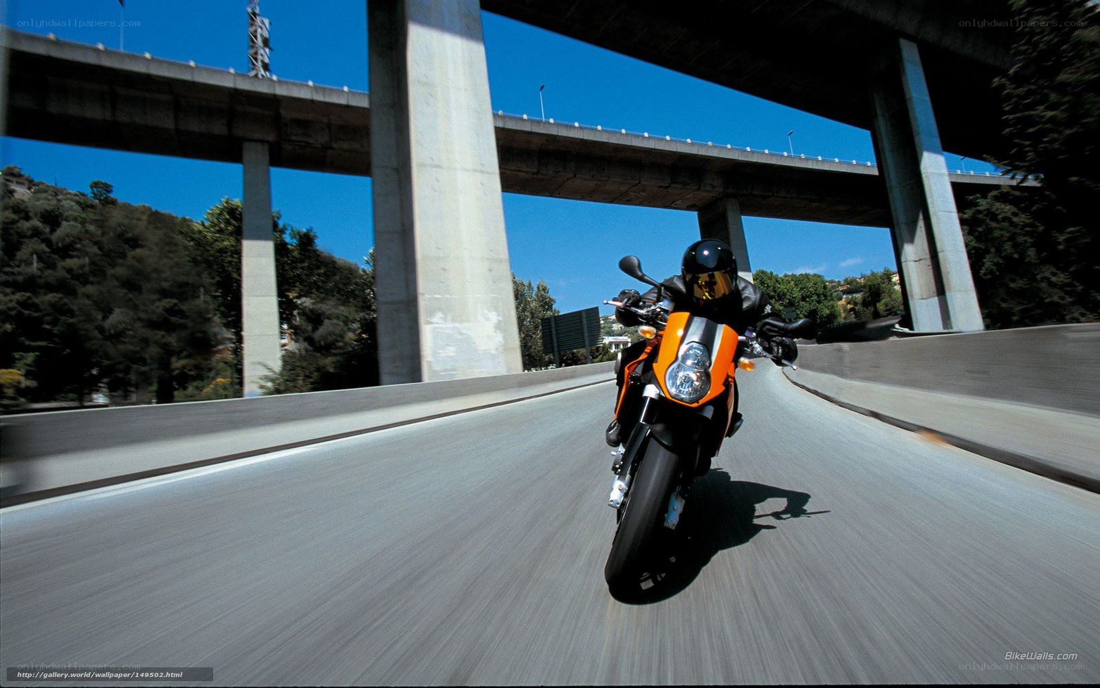 Motorcycle rider on highway