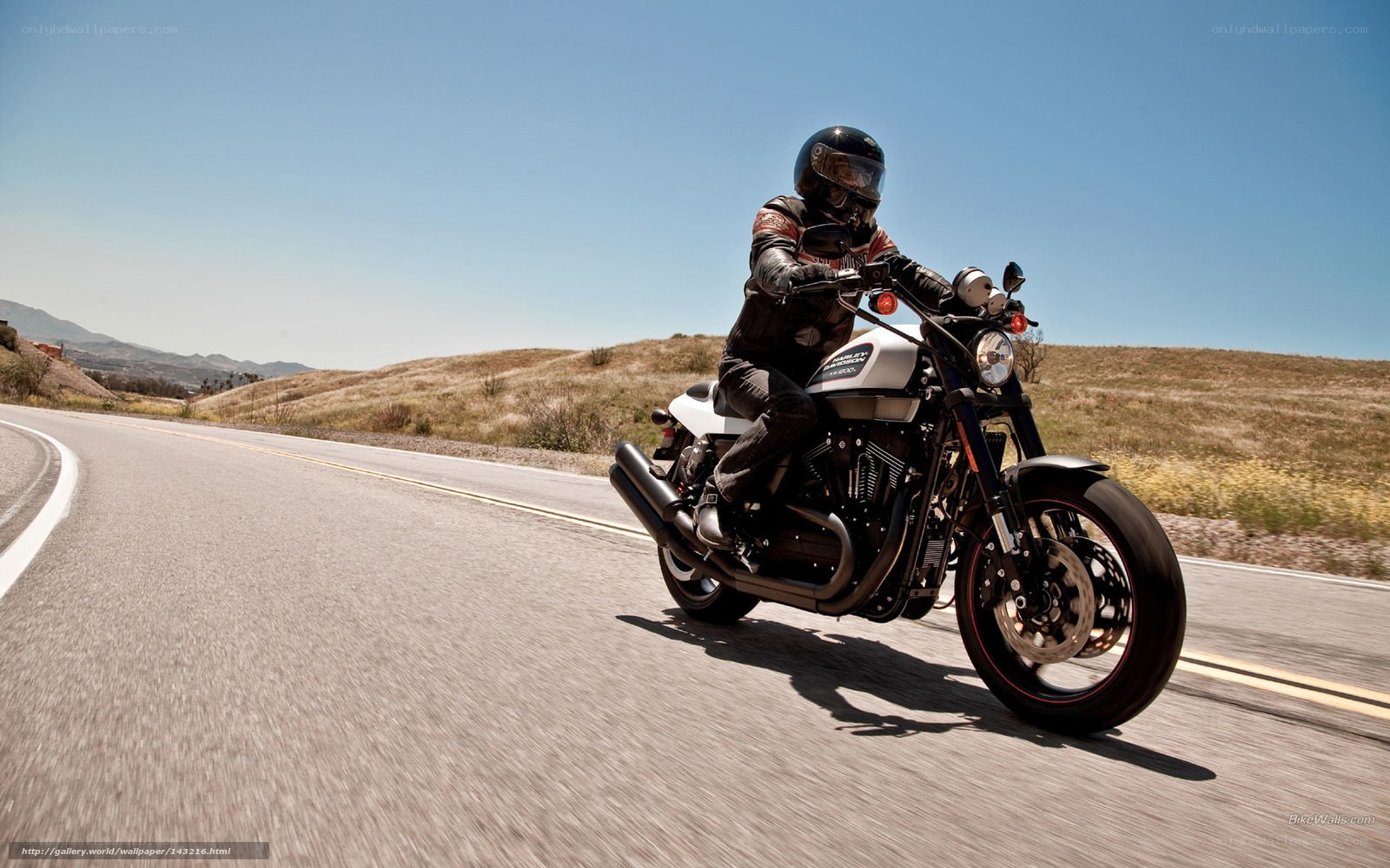 motorcycle rider on open road