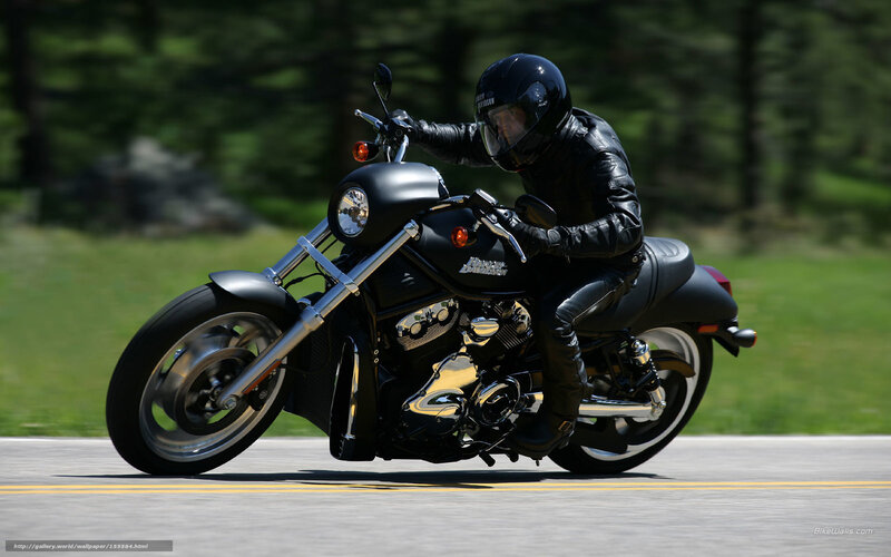 Motorcycle Rider on Road — Black, Dynamic, Afternoon, Photograph, Helmet, Leather Jacket, Trees
