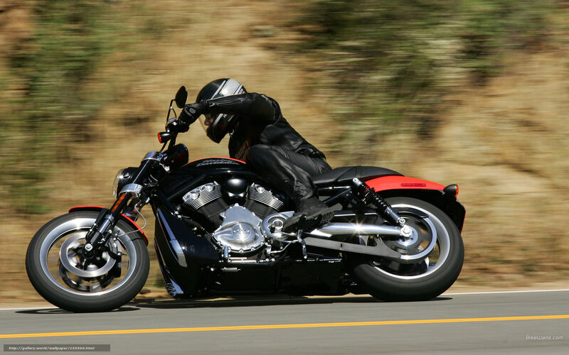 Motorcycle Rider on Road — Black, Dynamic, Afternoon, Photograph, Trees, Helmet