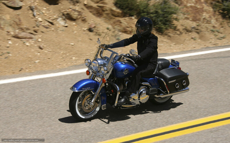 Motorcycle Rider on Road — Blue, Active