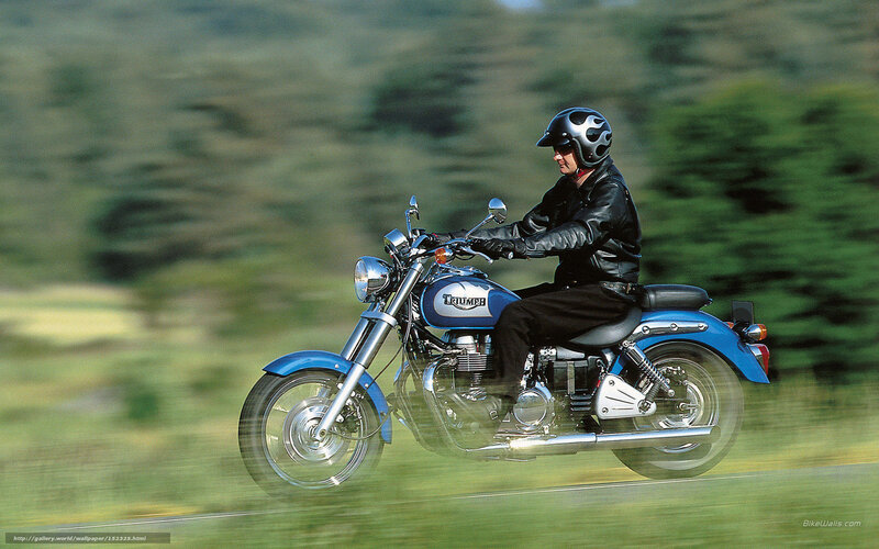 Motorcycle Rider on Road — Blue, Dynamic, Afternoon, Photograph, Helmet, Leather Jacket