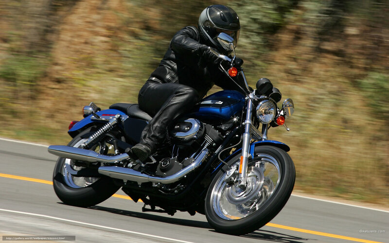 Motorcycle Rider on Road — Blue, Dynamic, Afternoon, Photograph, Trees, Helmet