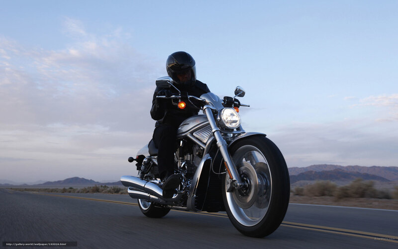 Motorcycle Rider on Road — Blue, Open