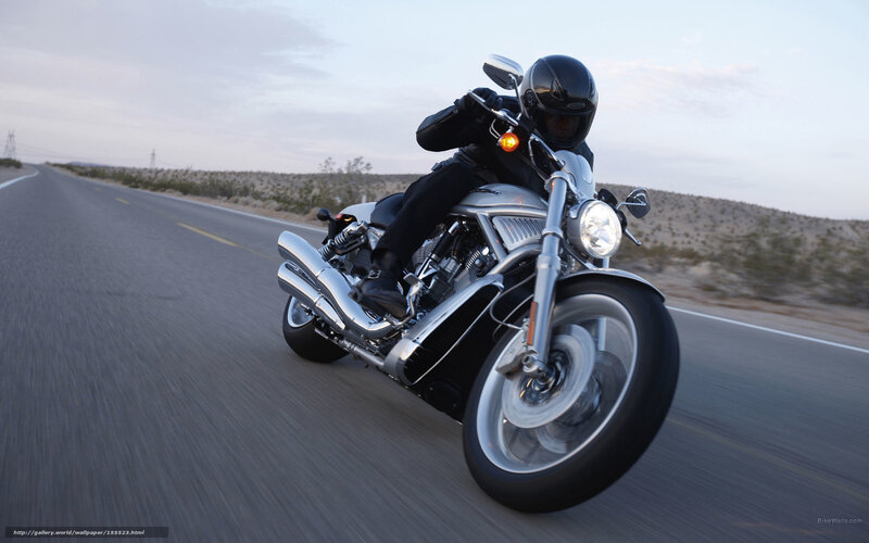 Motorcycle Rider on Road — Gray, Dynamic, Sunset