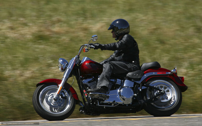 Motorcycle Rider on Road — Red, Dynamic, Afternoon