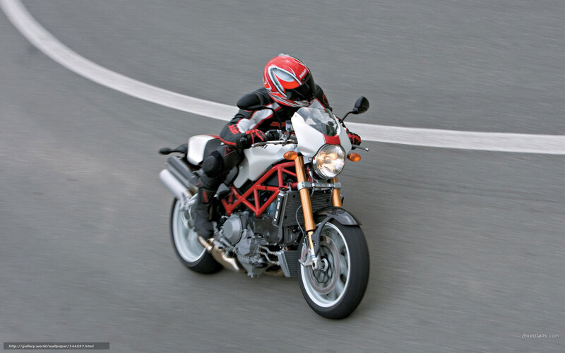 Motorcycle Rider on Track — White, Dynamic, Photograph