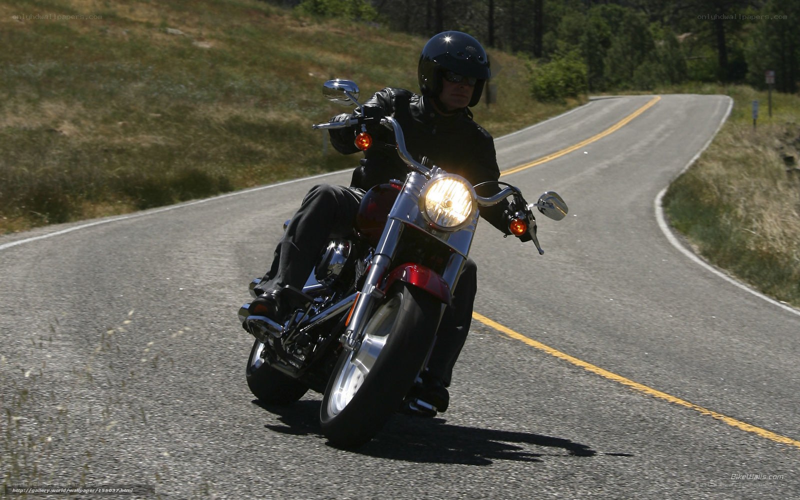 motorcycle rider on winding road