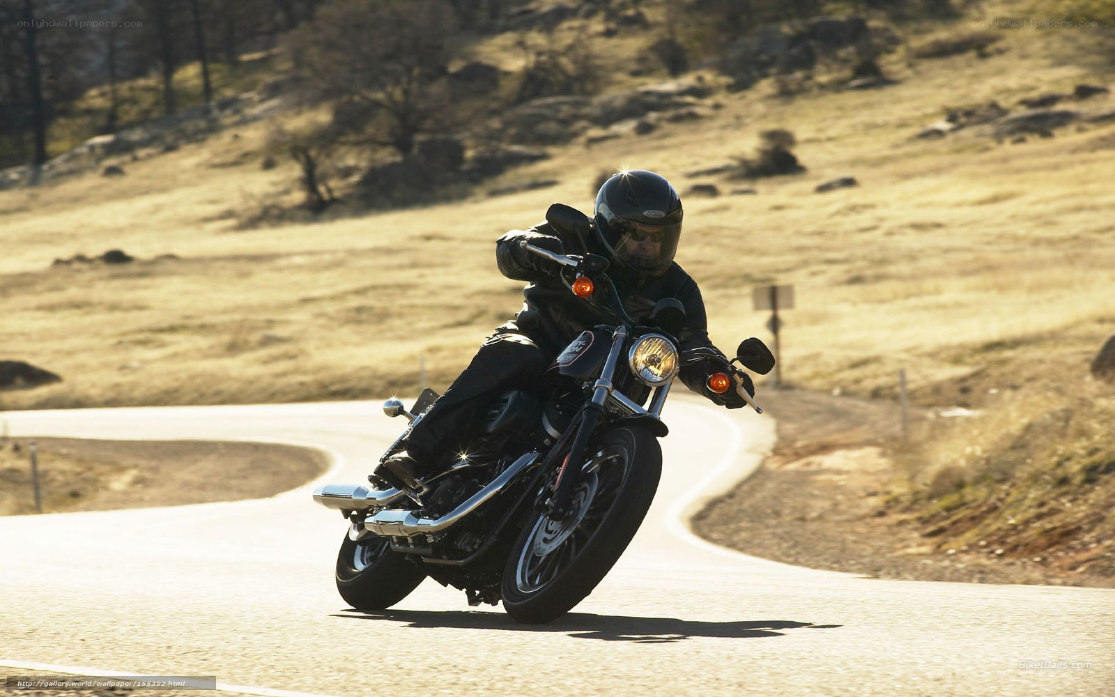 Motorcycle rider on winding road