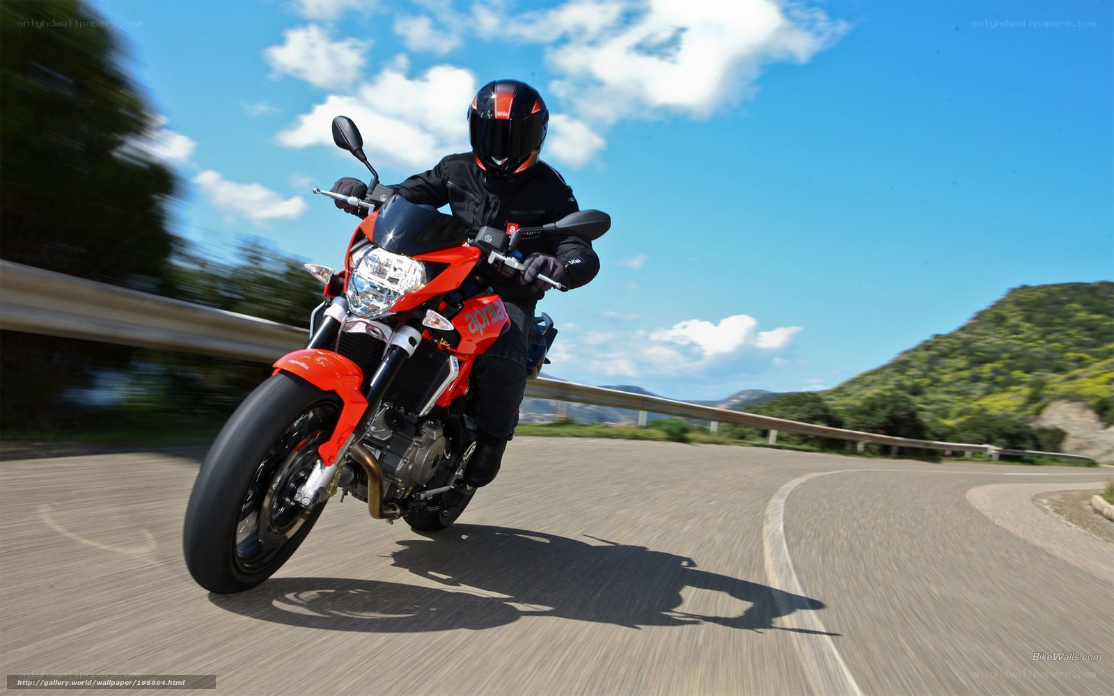 motorcycle rider on winding road