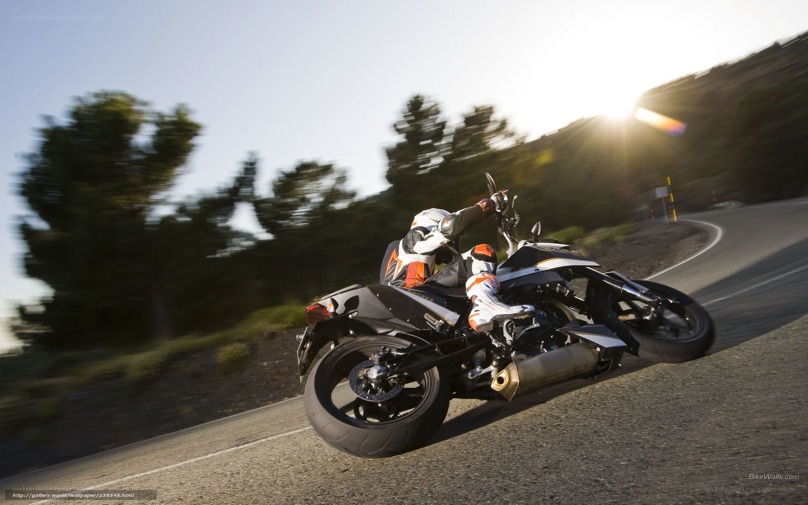 motorcycle rider on winding road