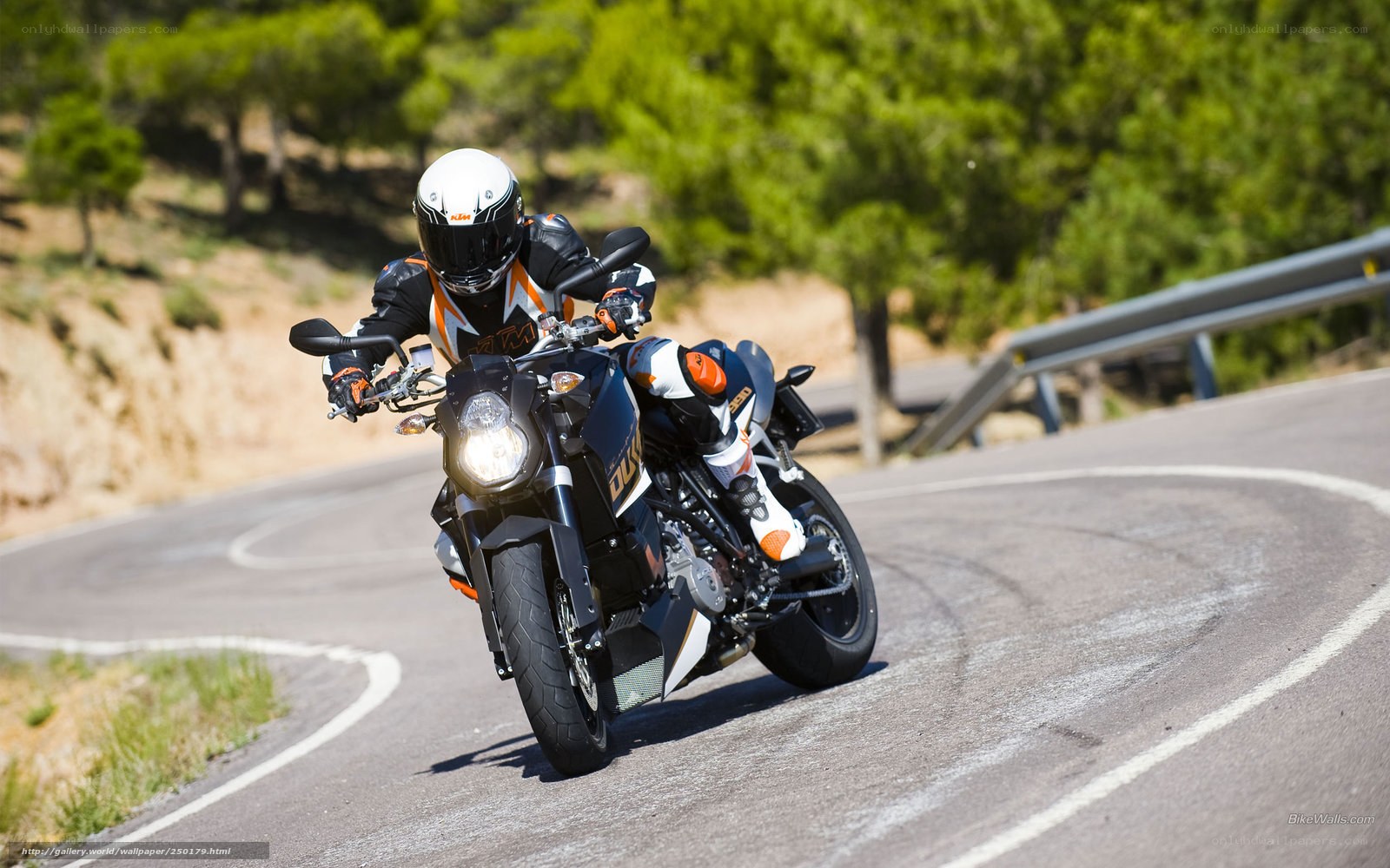 motorcycle rider on winding road