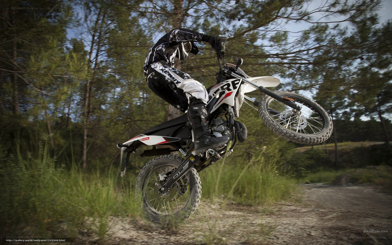 motorcycle rider performing stunt